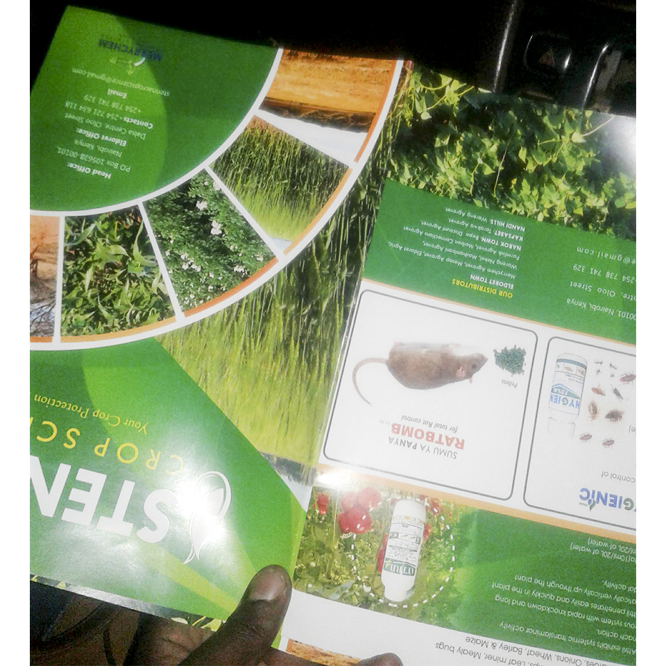 Flyer Designing