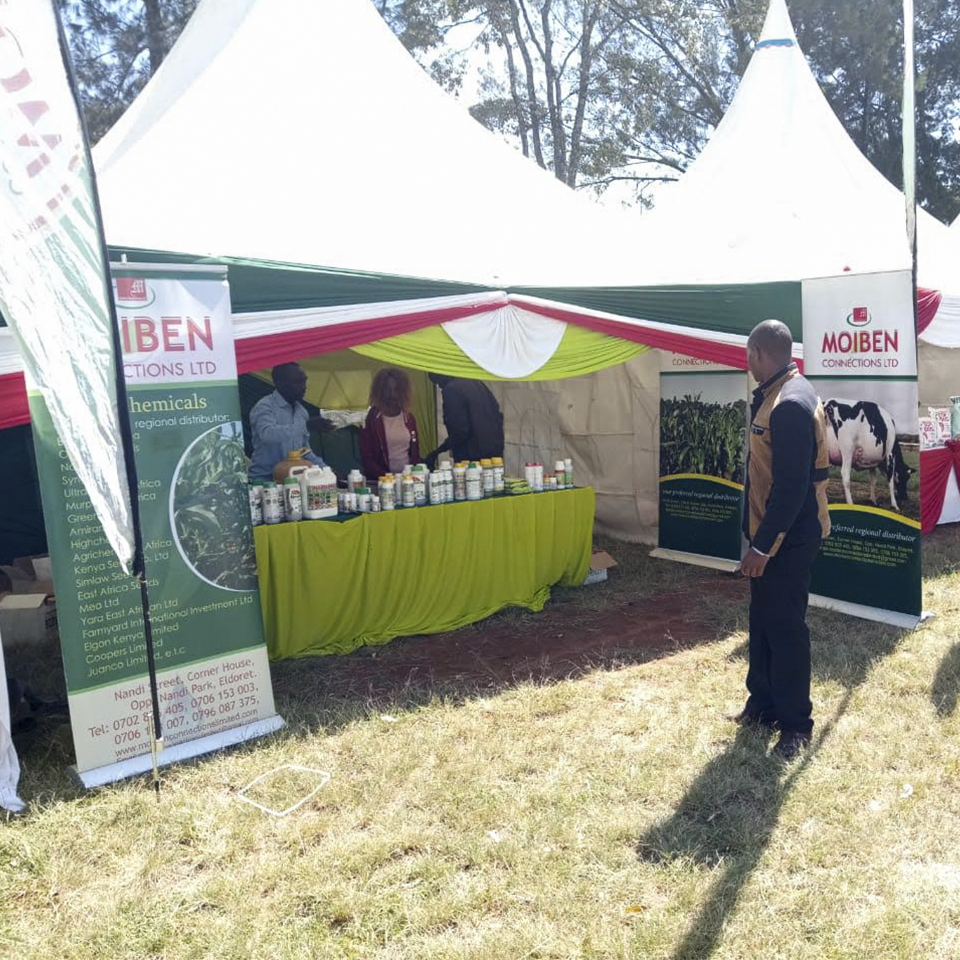 Pull-out Advertising Banners