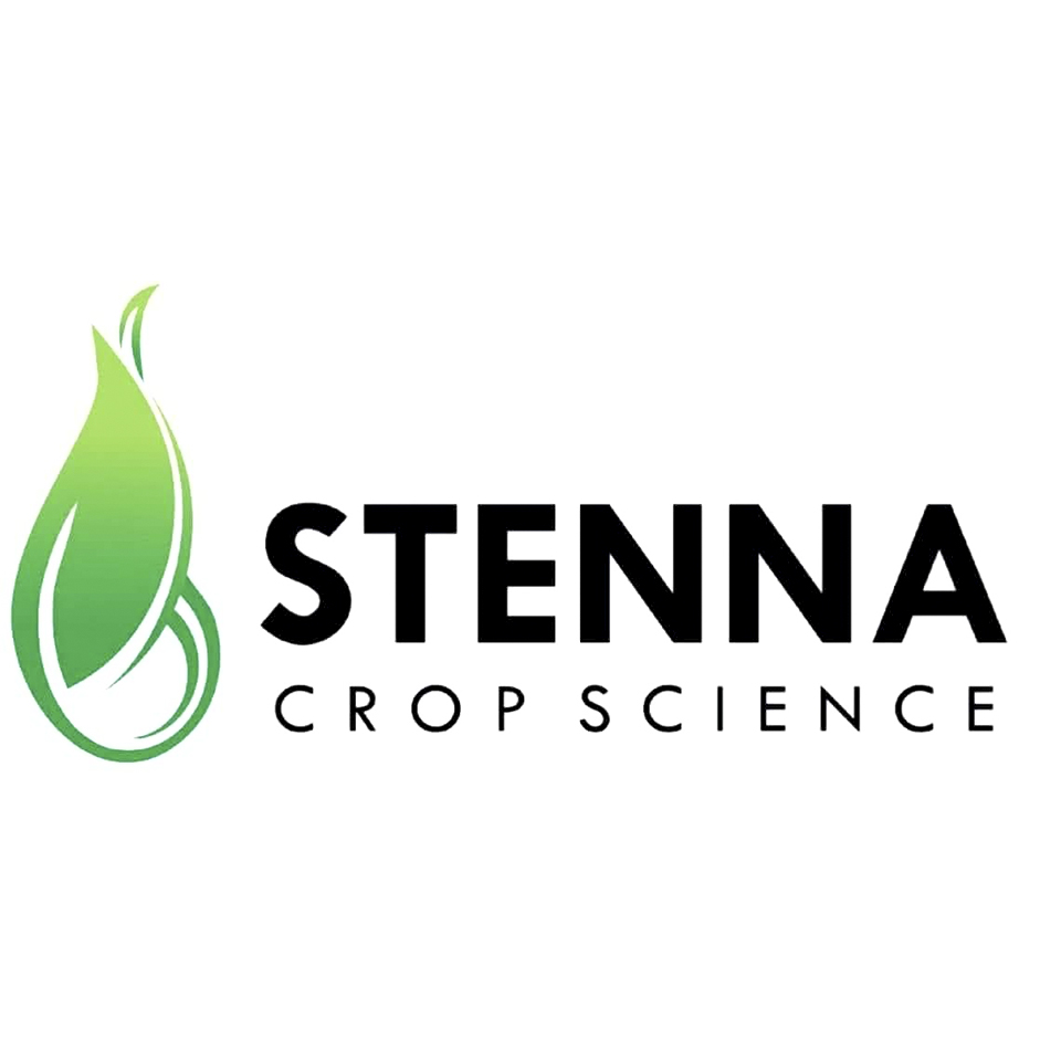 Logo Designing